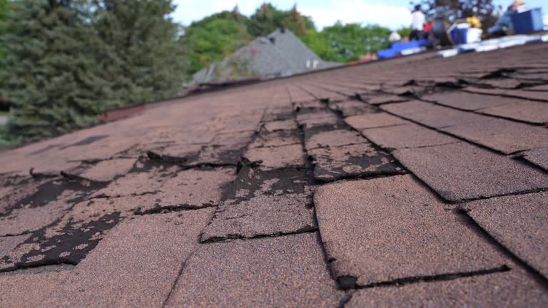 Best Asphalt Shingles Roofing  in Annapolis Neck, MD