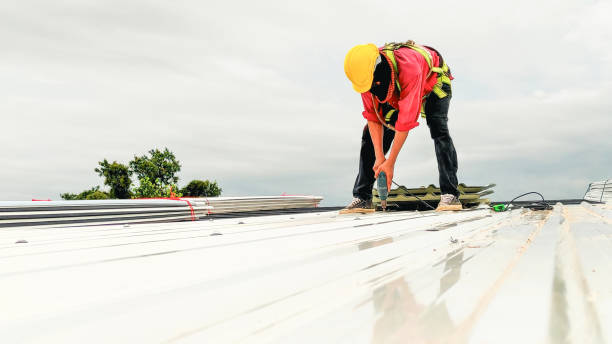 Best Rubber Roofing (EPDM, TPO)  in Annapolis Neck, MD