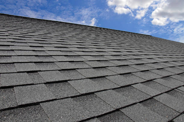 Best Emergency Roof Repair Services  in Annapolis Neck, MD