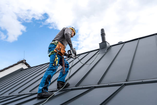 Best Roof Moss and Algae Removal  in Annapolis Neck, MD